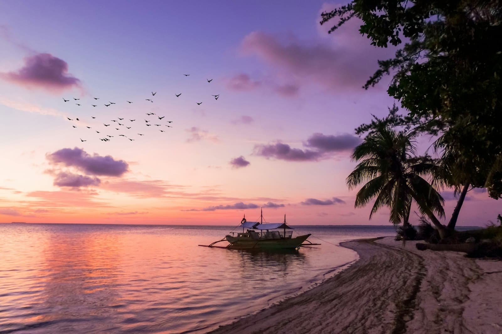 A bangka outrigger boat anchored off a palm-lined Philippine beach under a pink and purple sunset sky