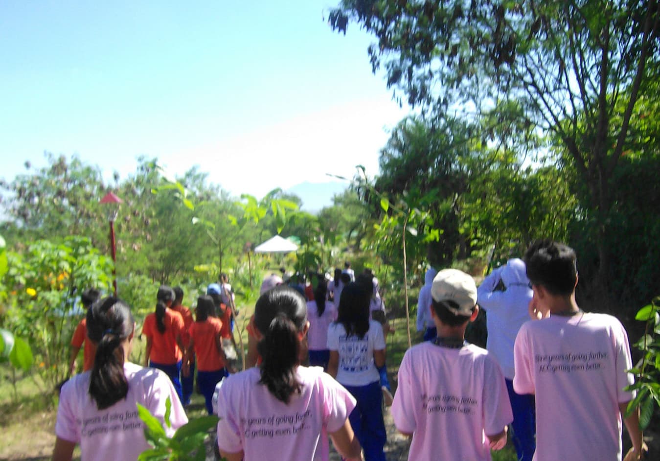 Young volunteers in matching shirts walk along a leafy path to a tree-planting site